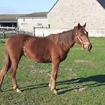 Domaine De La Dune Entre Terre Et Prázdninový dům