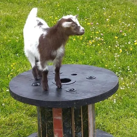 Дом отдыха Domaine De La Dune Entre Terre Et *