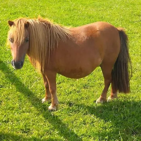 Domaine De La Dune Entre Terre Et Дом отдыха Saint-Martin-de-Varreville