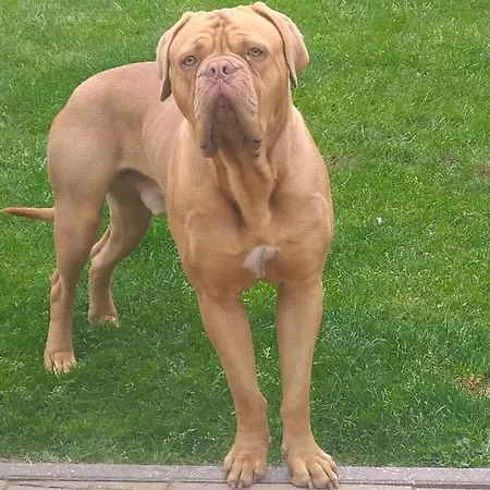 Domaine De La Dune Entre Terre Et Дом отдыха *