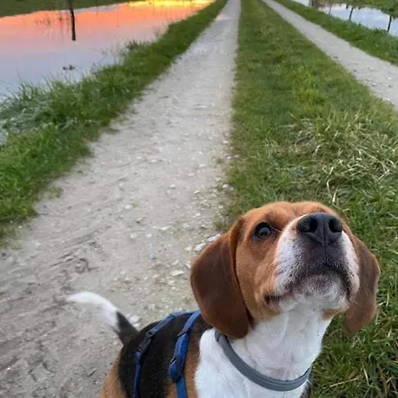Domaine De La Dune Entre Terre Et Saint-Martin-de-Varreville