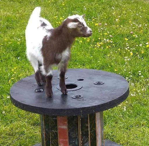 Дом отдыха Domaine De La Dune Entre Terre Et *