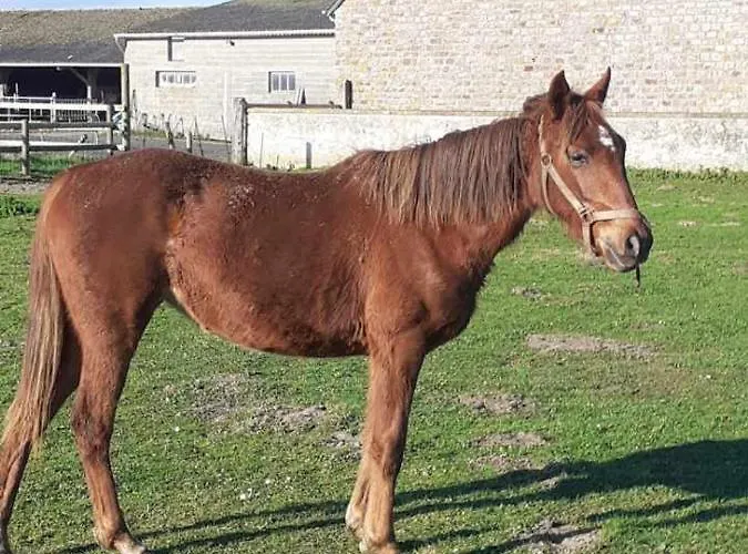 Domaine De La Dune Entre Terre Et Дом отдыха