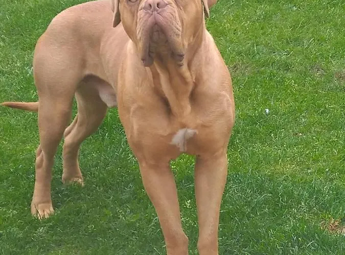 Domaine De La Dune Entre Terre Et Дом отдыха *