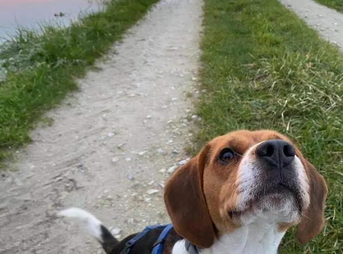 Domaine De La Dune Entre Terre Et Saint-Martin-de-Varreville